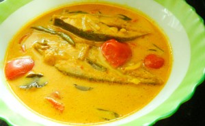 Meen Palu Curry / Mild Fish Curry With Coconut Milk | Salt and Spice